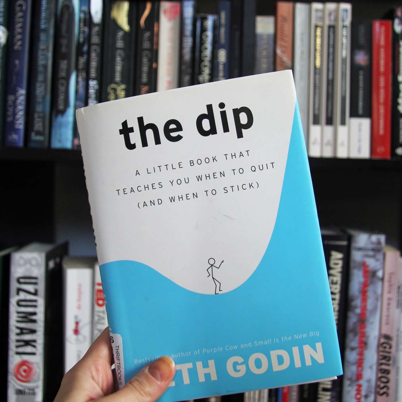 Through The Dip
