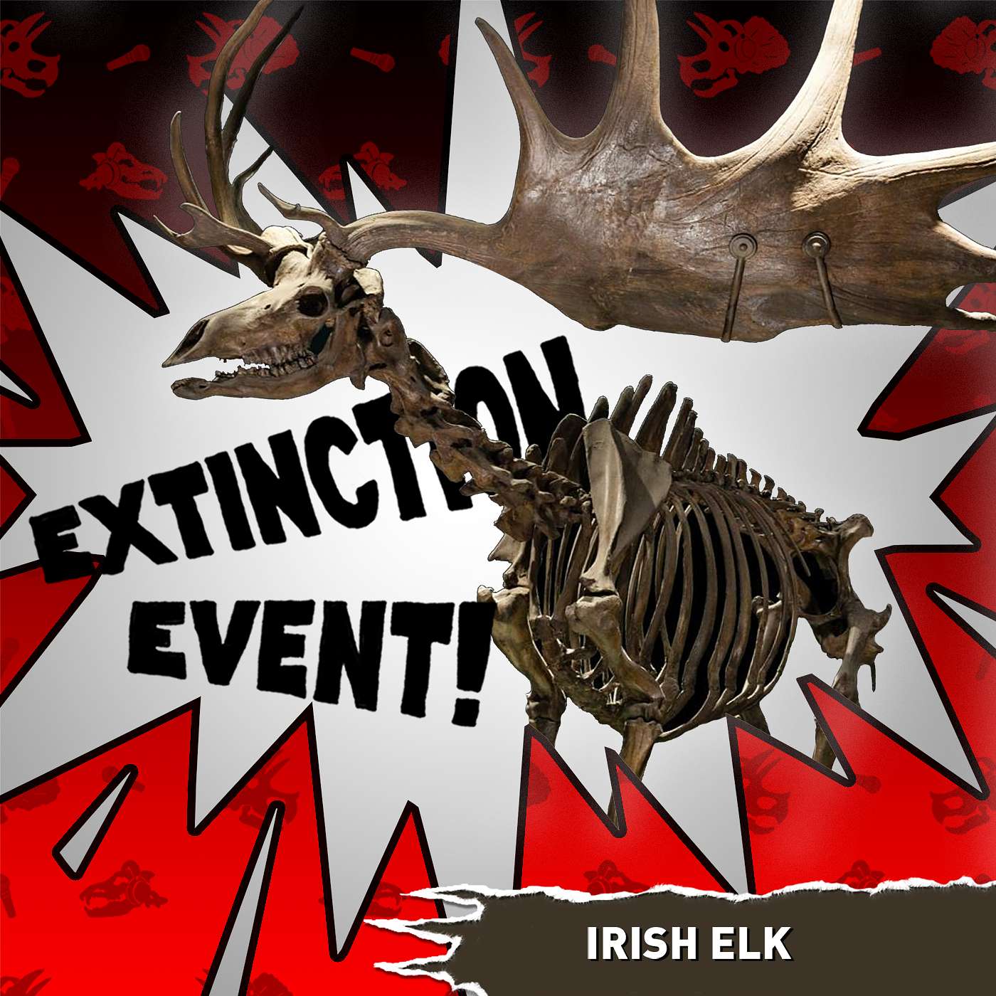 Irish Elk
