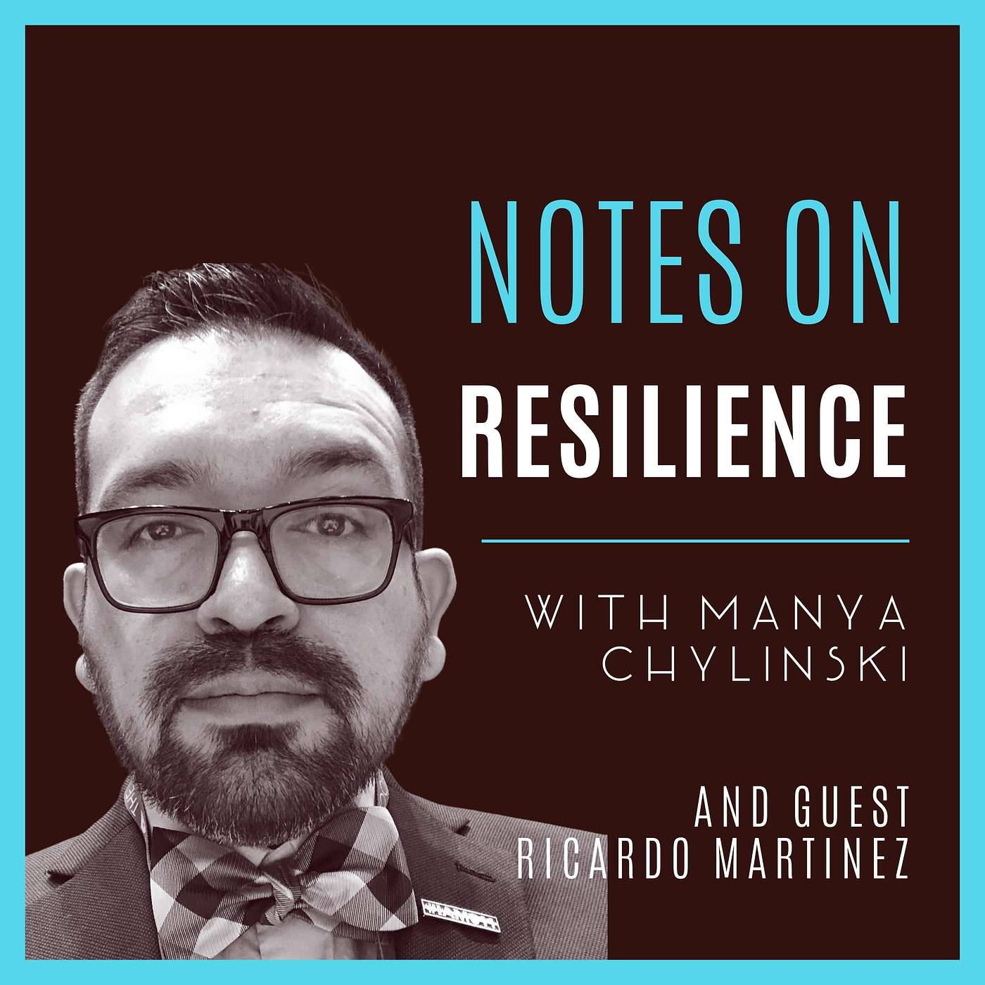 Notes on Resilience