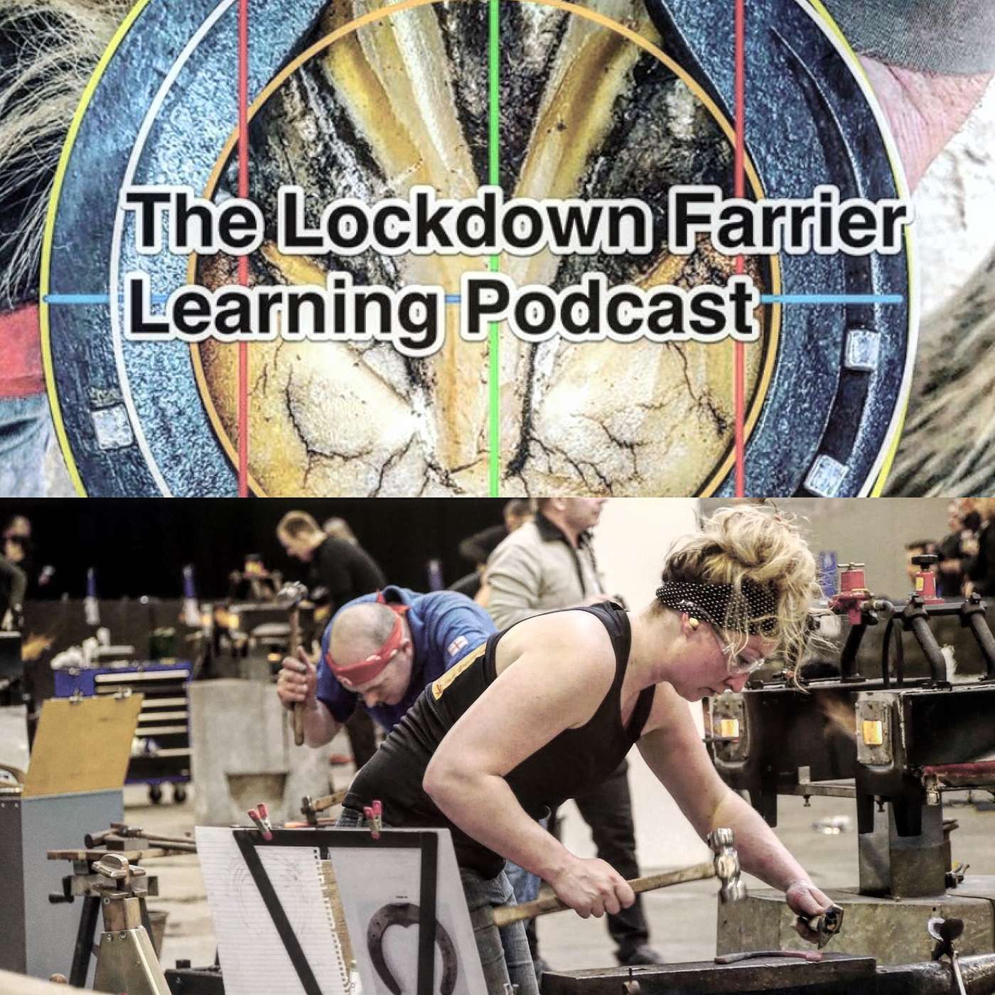 The Lockdown Farriery  Podcast