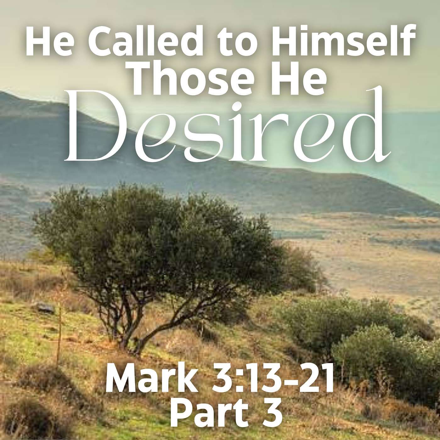 He Called to Himself Those He Desired, Part 3; Mark 3:13-21