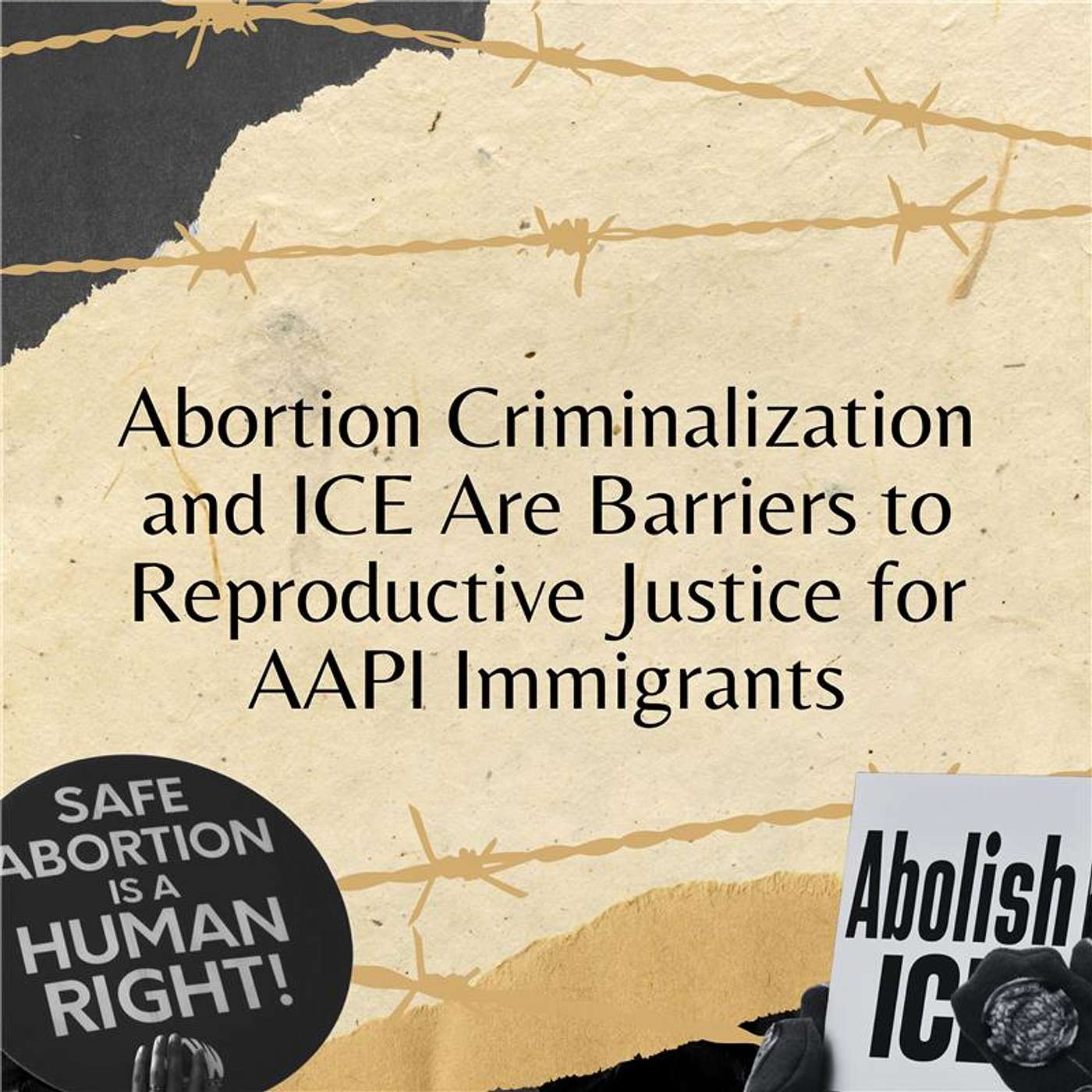 Abortion Criminalization and ICE Are Barriers to Reproductive Justice for AAPI Immigrants Abortion Criminalization and ICE Are Barriers to Reproductive Justice for AAPI Immigrants