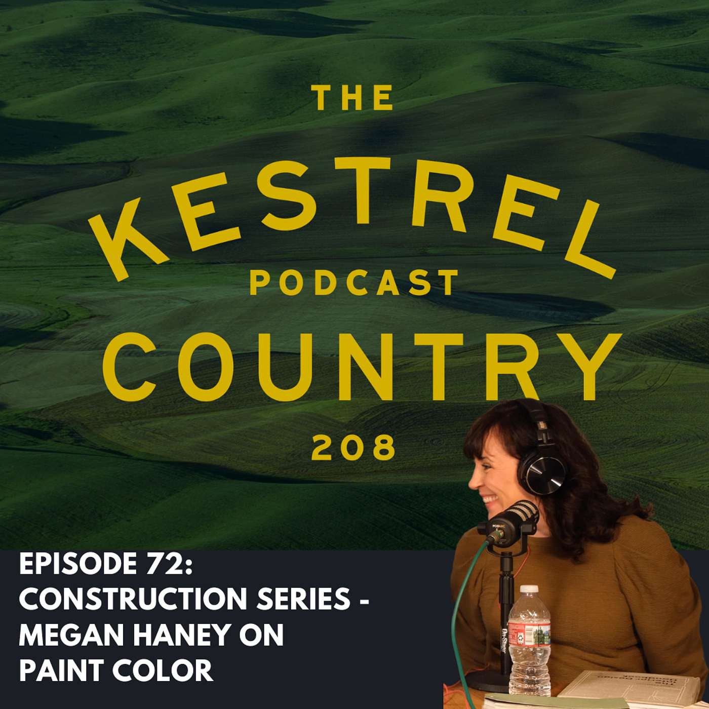 Building Series - Megan Haney on Paint Color
