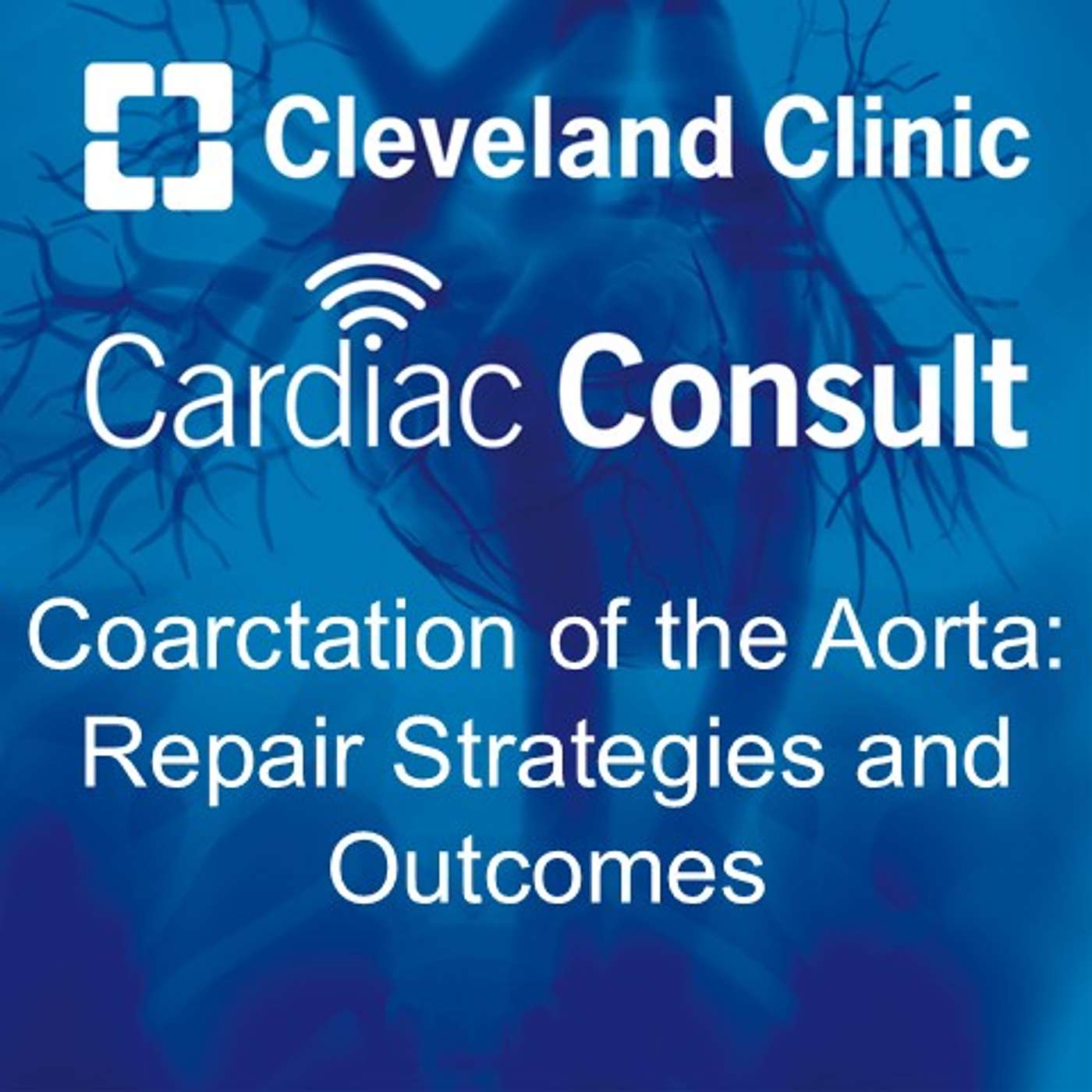 Coarctation of the Aorta: Repair Strategies and Outcomes