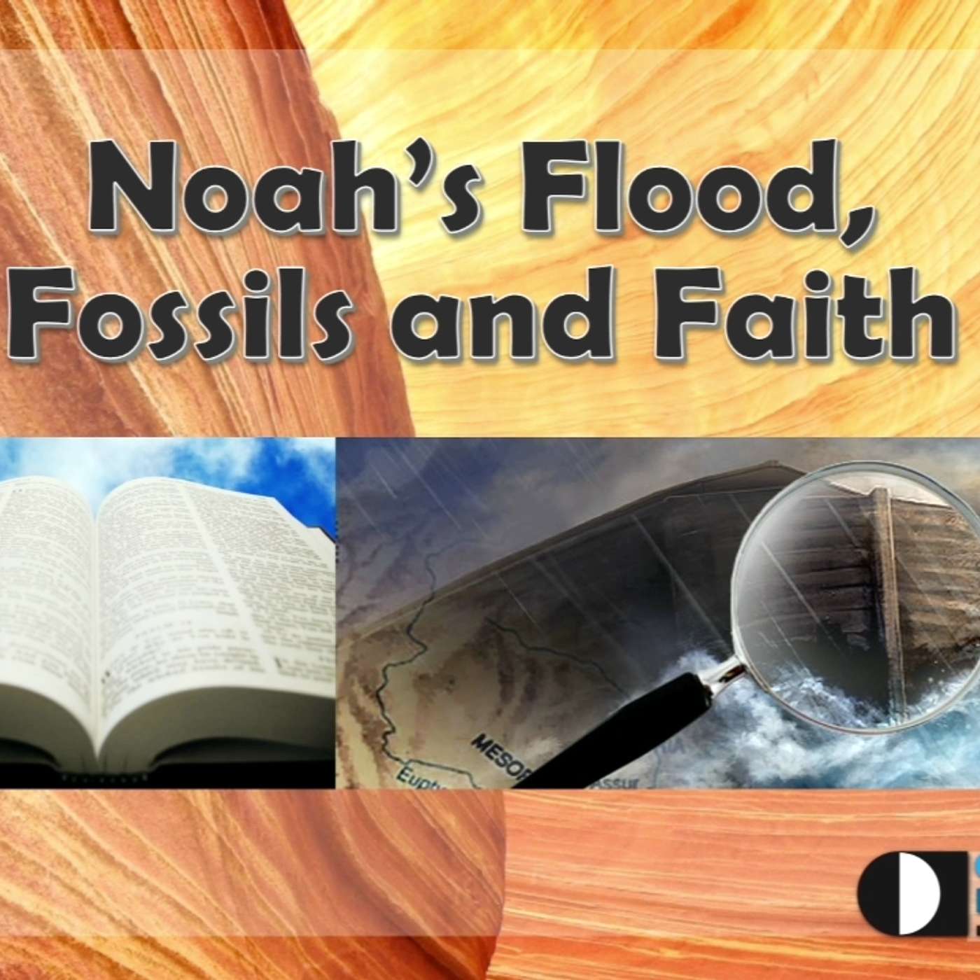 Noah's Flood, Fossils and Faith