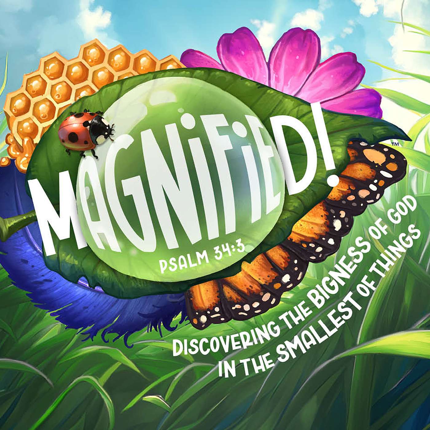 Magnify The Lord | Psalm 34:1-8 episode artwork