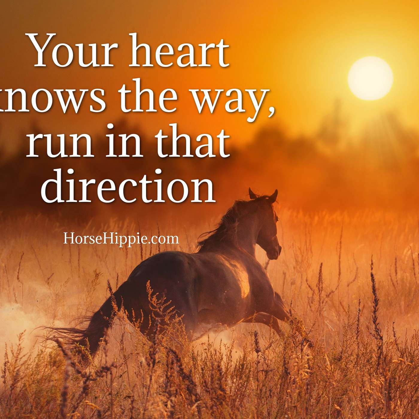 Listen to Your Heart