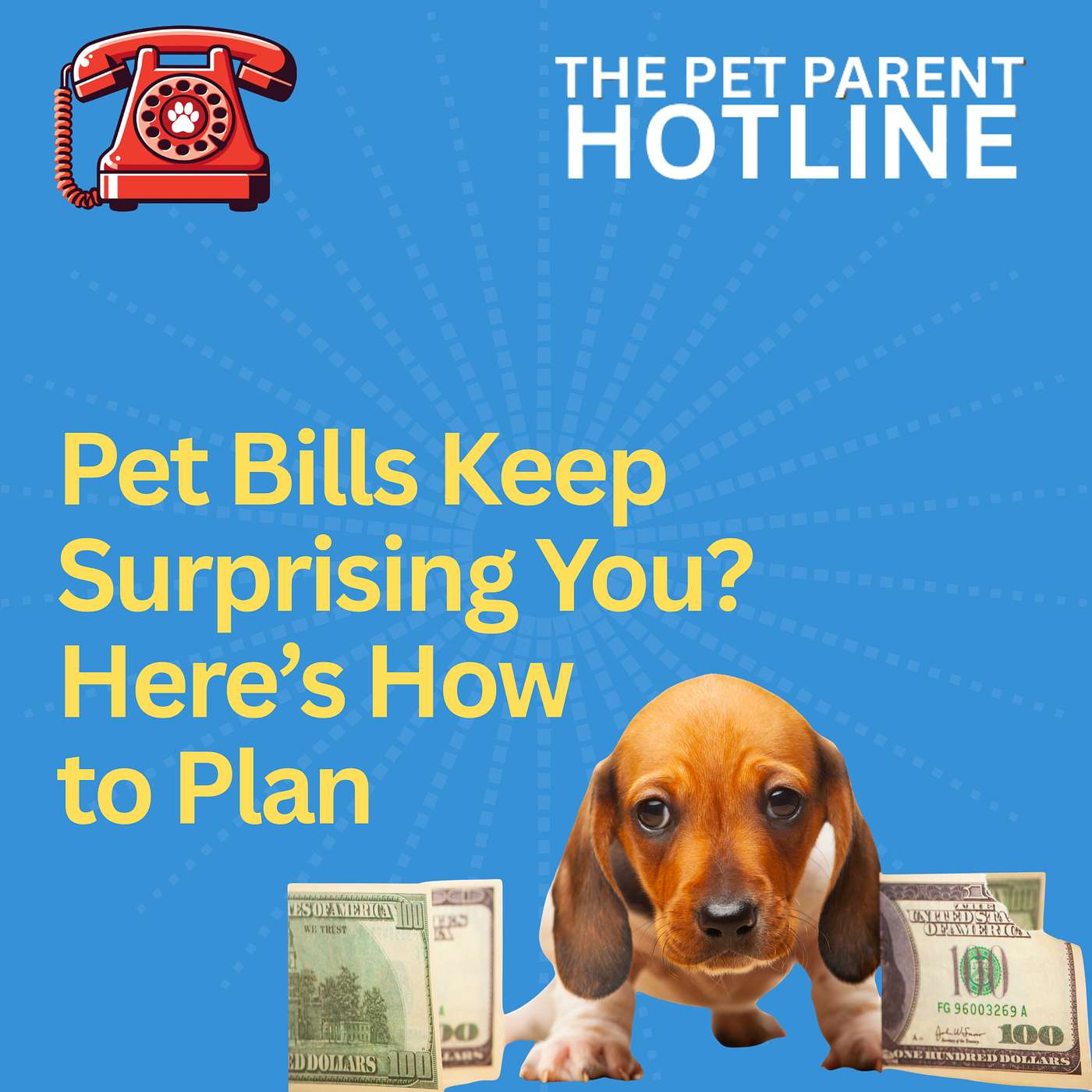 Pet Bills Keep Surprising You? Here’s How to Plan