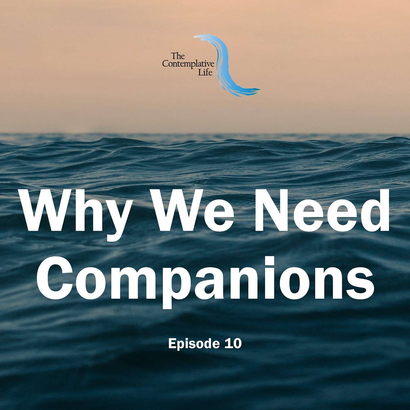 Ep 10 Why We Need Companions
