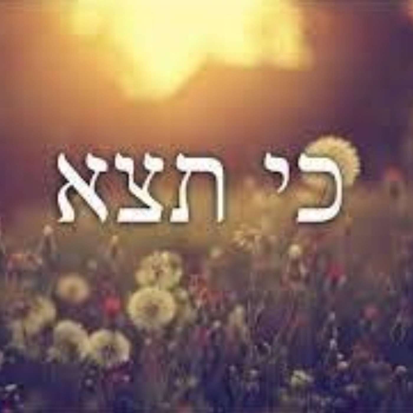 Parasha Ki Teitzei: Deut 21:10-25:19