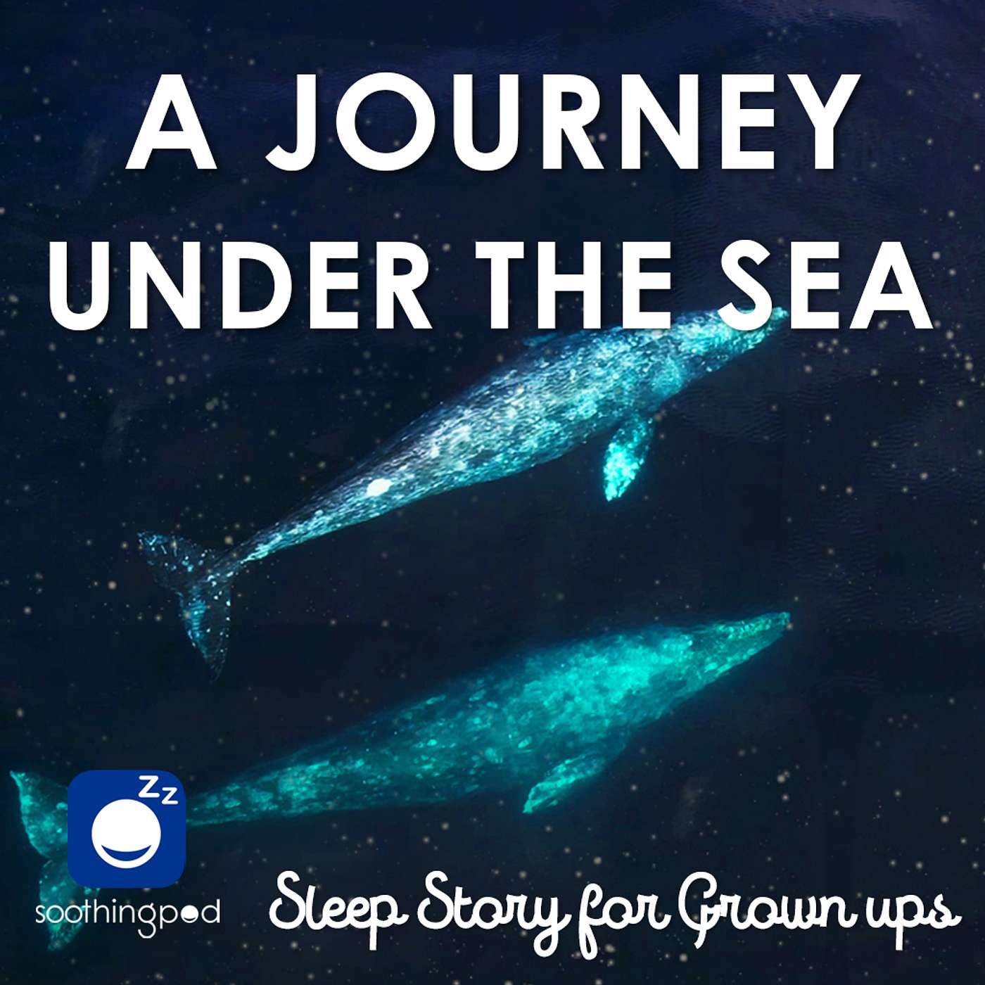 A journey Under the Sea | Edutainment Sleep Story for Grown Ups | Bedtime Sleep Stories