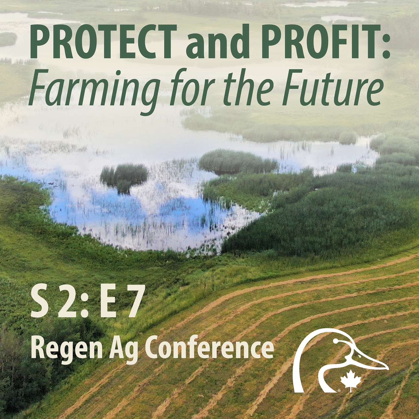 2025 11 November - Regen Ag Conference episode artwork