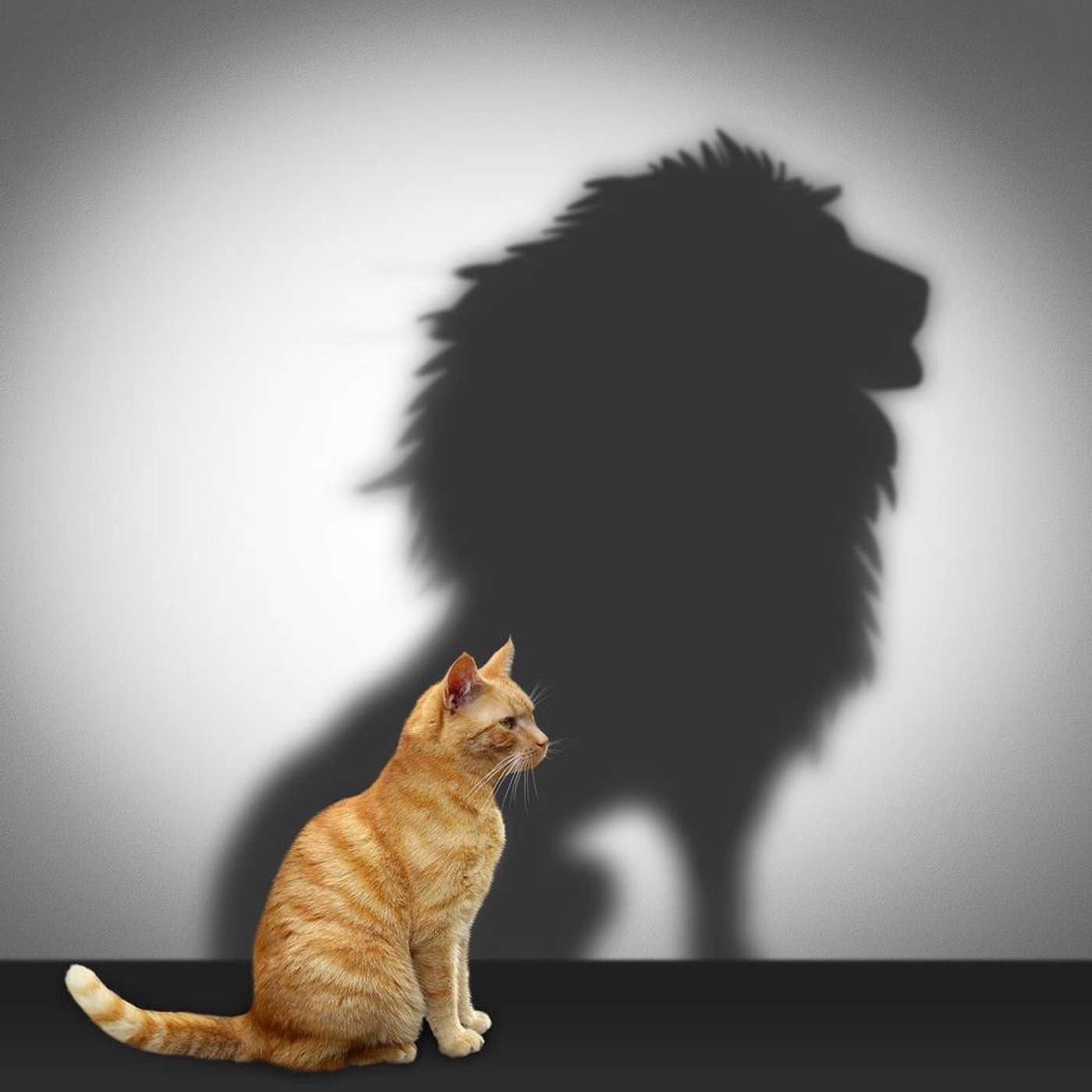 Episode 517 - Self Esteem is the Key!