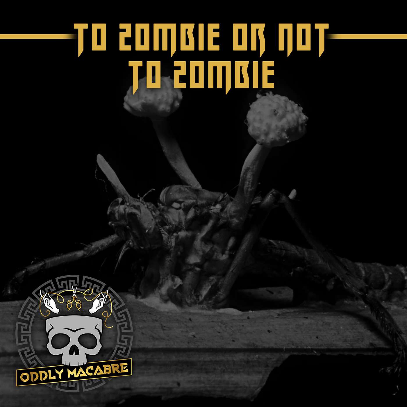 S4E81: To Zombie or not to Zombie