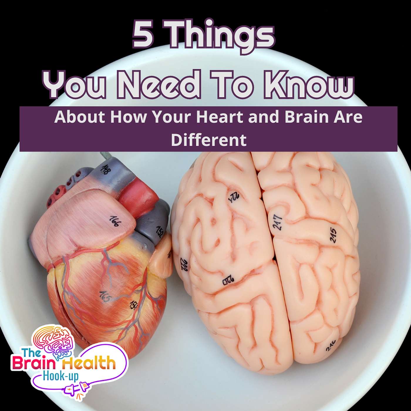 Brain Health Hook-up