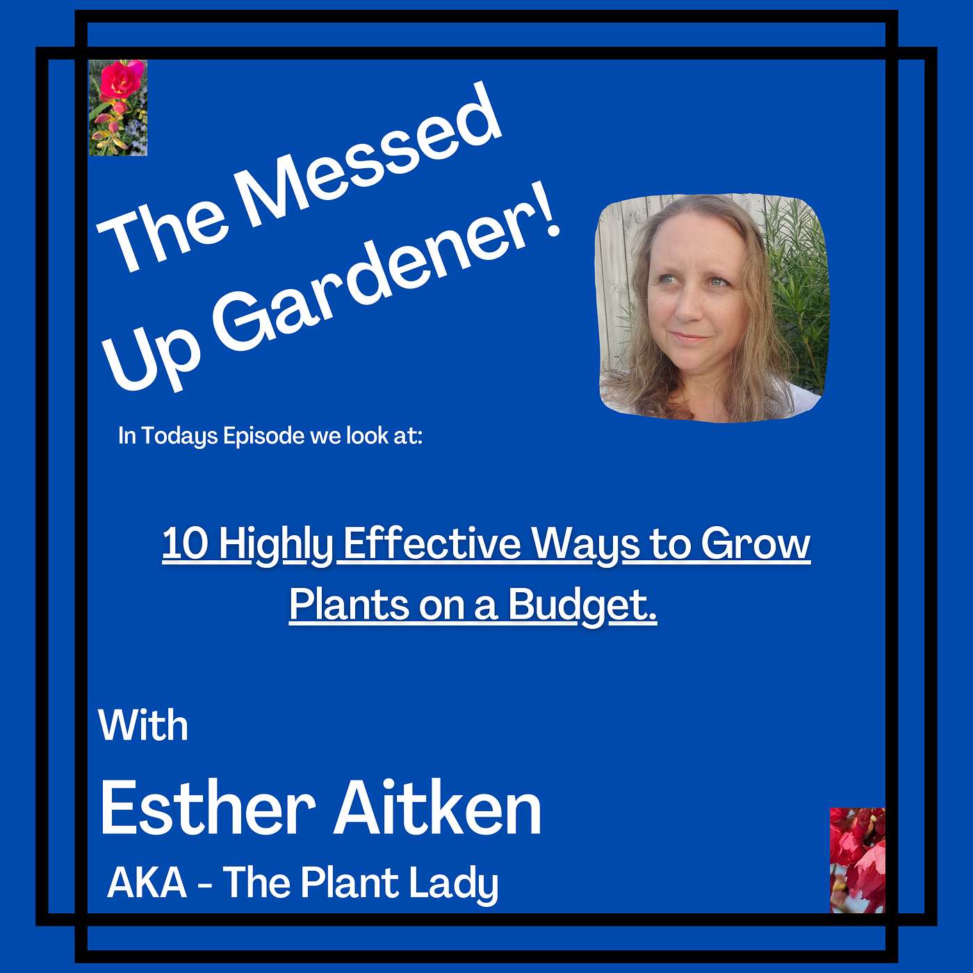 Ep19 – 10 Highly Effective Ways to Grow Plants on a Budget.