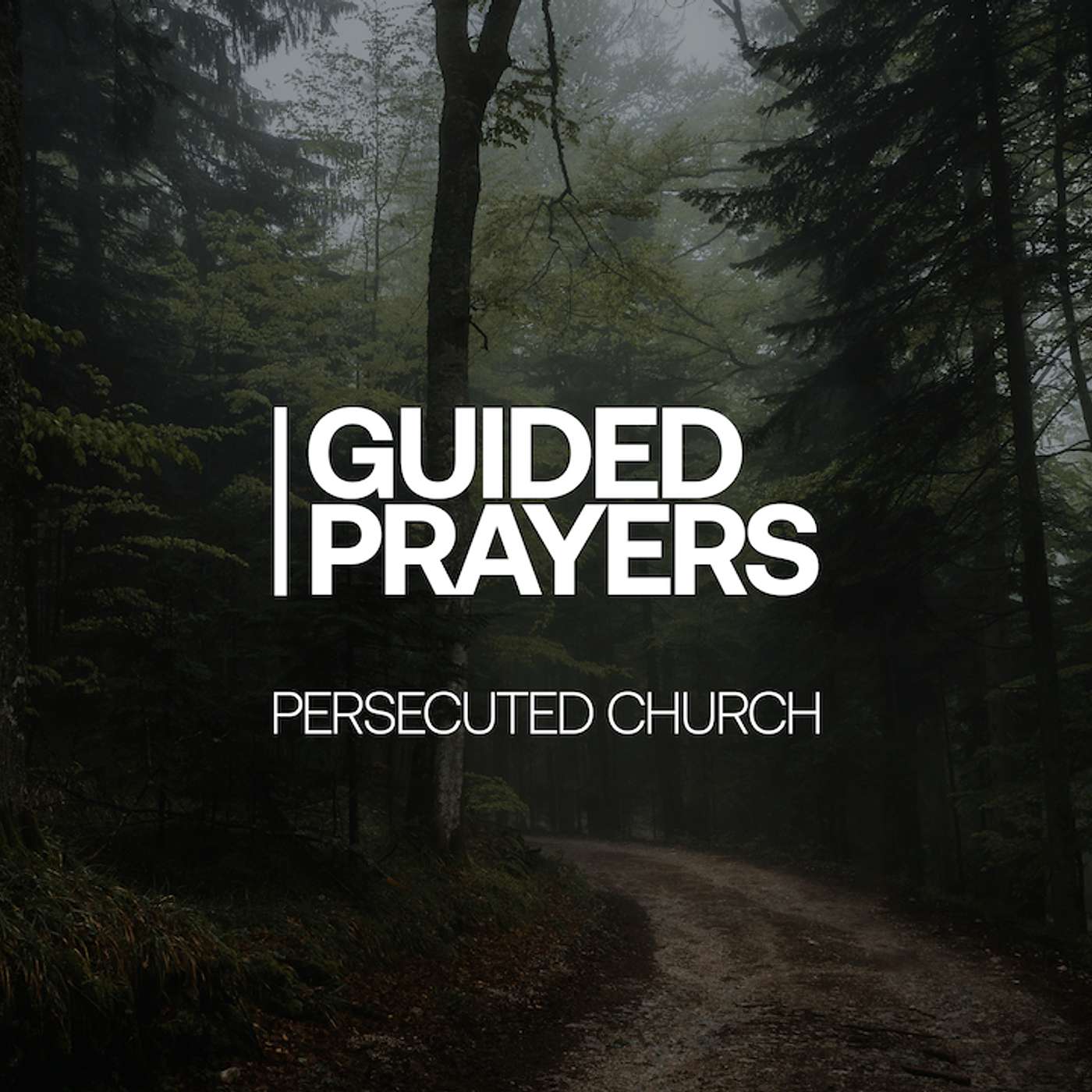 The Luxury To Praise God | Guided Prayers episode artwork