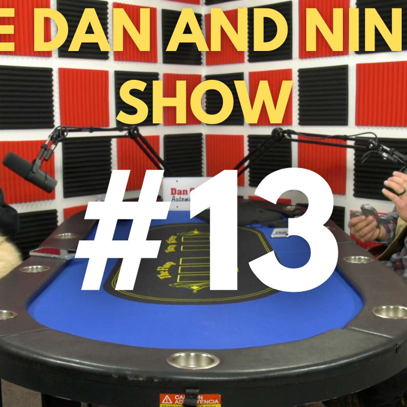 The Dan and Ninko Show