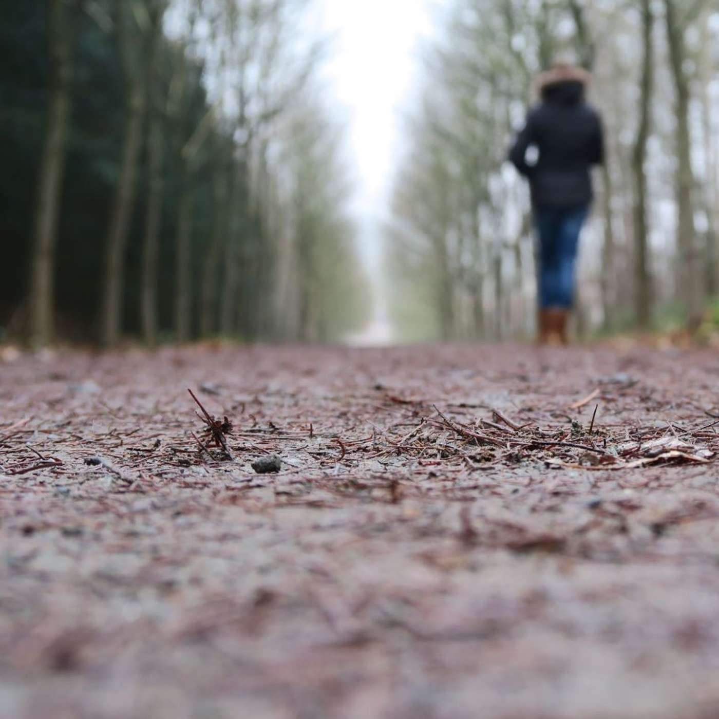 E8 - Iniciando el 2021 E8 - Iniciando el 2021