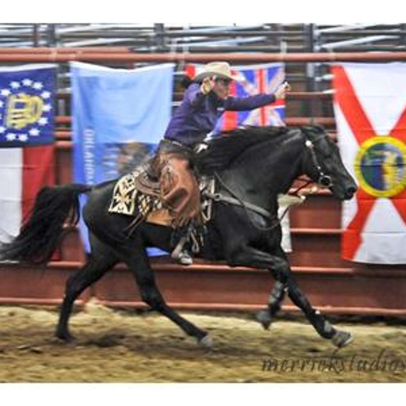 *EXTREME HORSES-MUSIC-TRAILS*