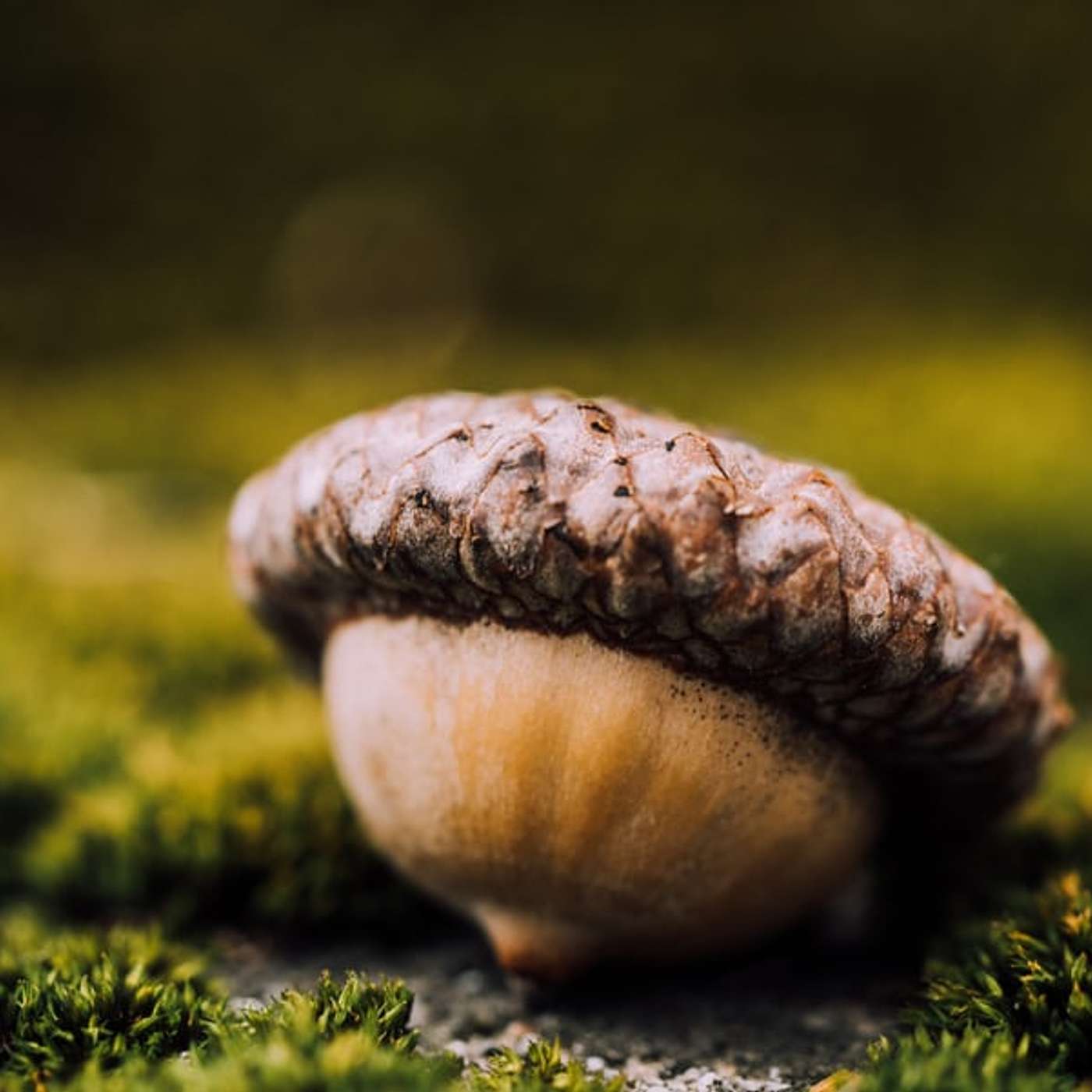 Sunday Service Podcast October 18th – The Hidden Gifts of Grief