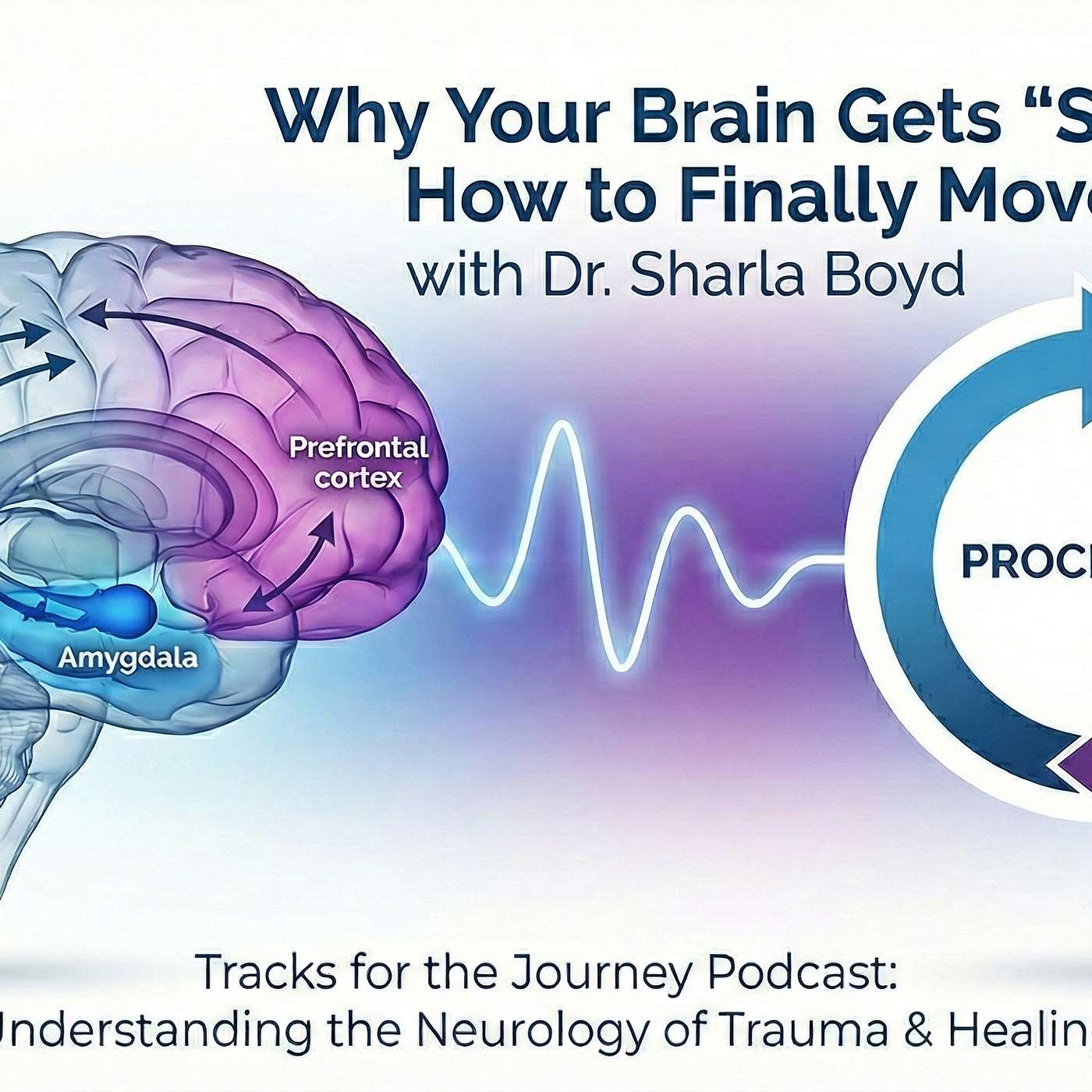 Why Your Brain Gets "Stuck" and How to Finally Move Forward