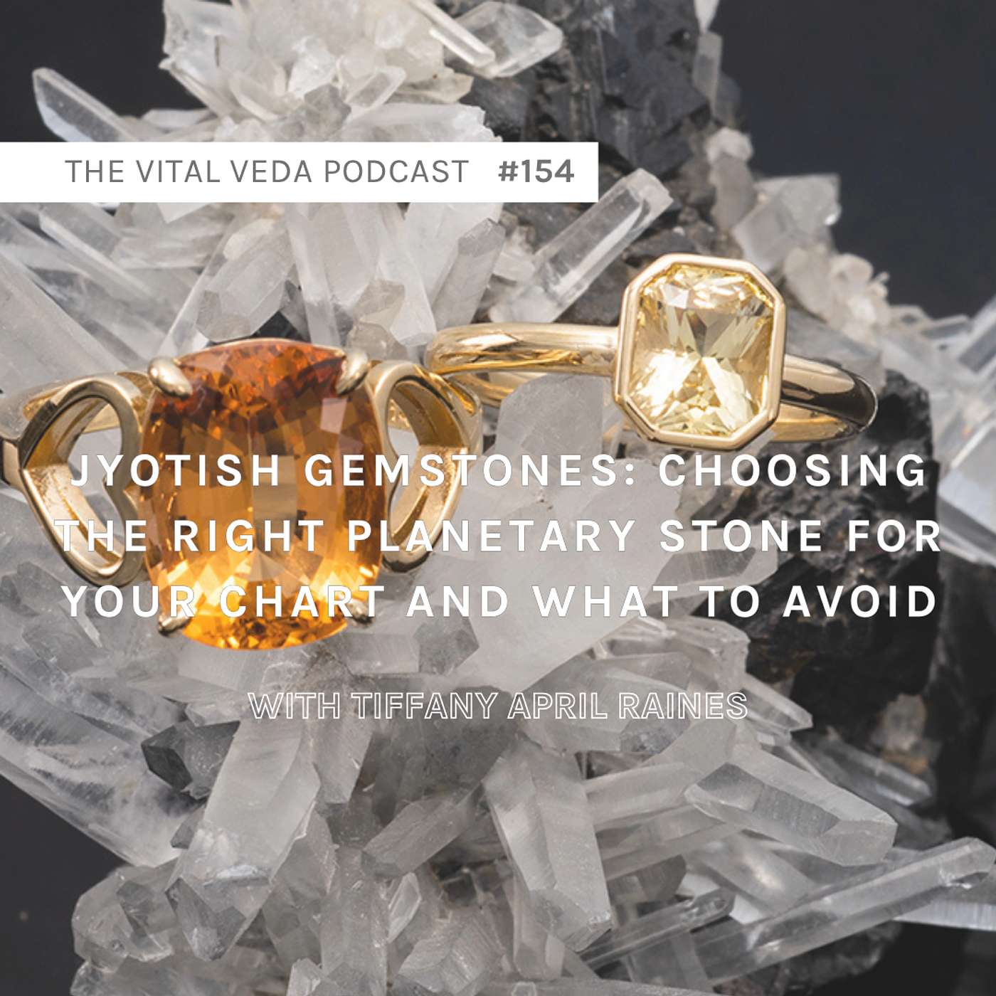 The Vital Veda Podcast: Ayurveda | Vedic Wisdom | Holistic Health & Natural Healing