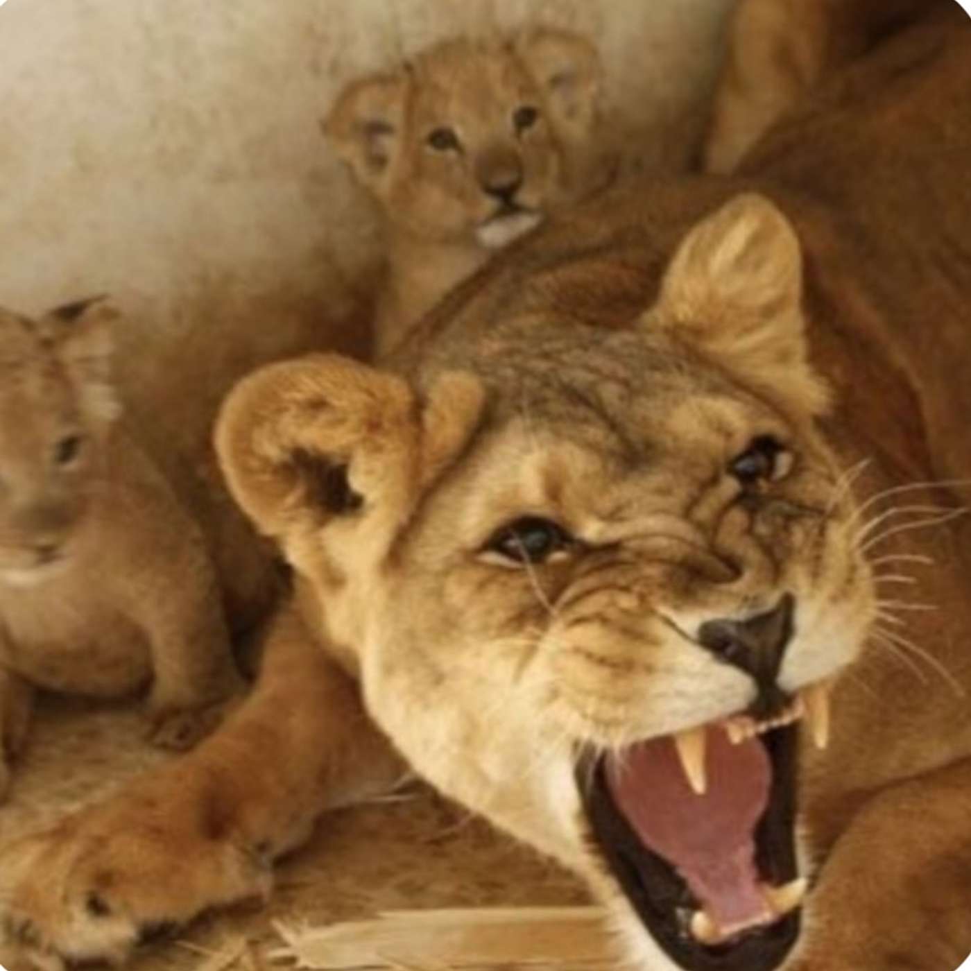 Patriot Mom And Dad Give Update On Their Case Of False Allegations, False Imprisonment And Help From The NLPA