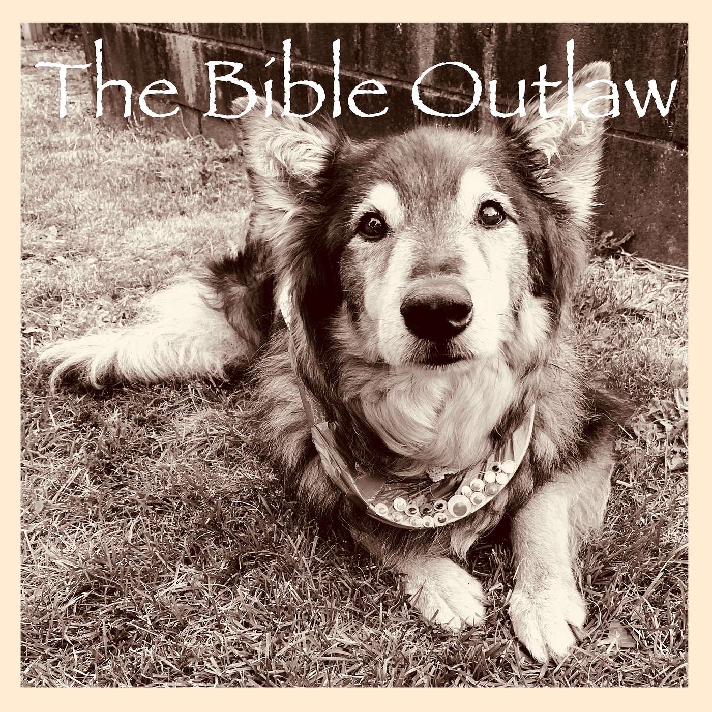 The Bible Outlaw