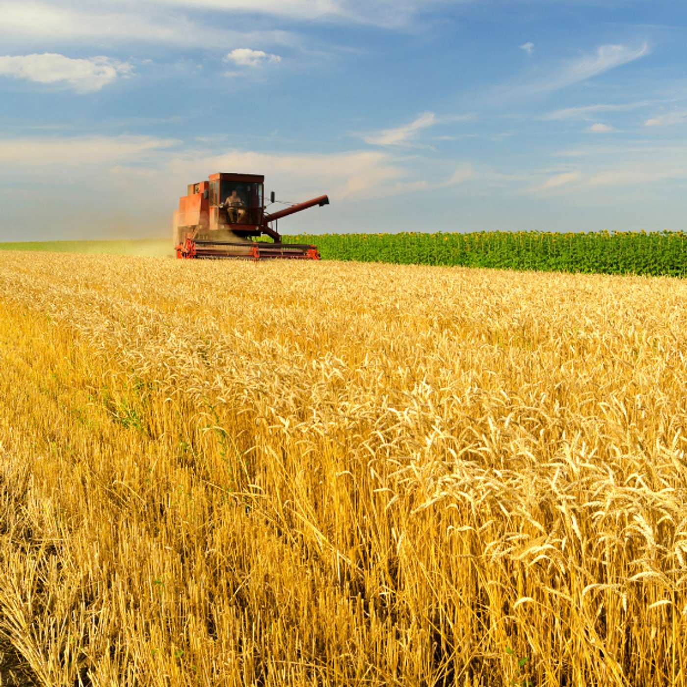 Hearing God in a Summer Season of Harvest