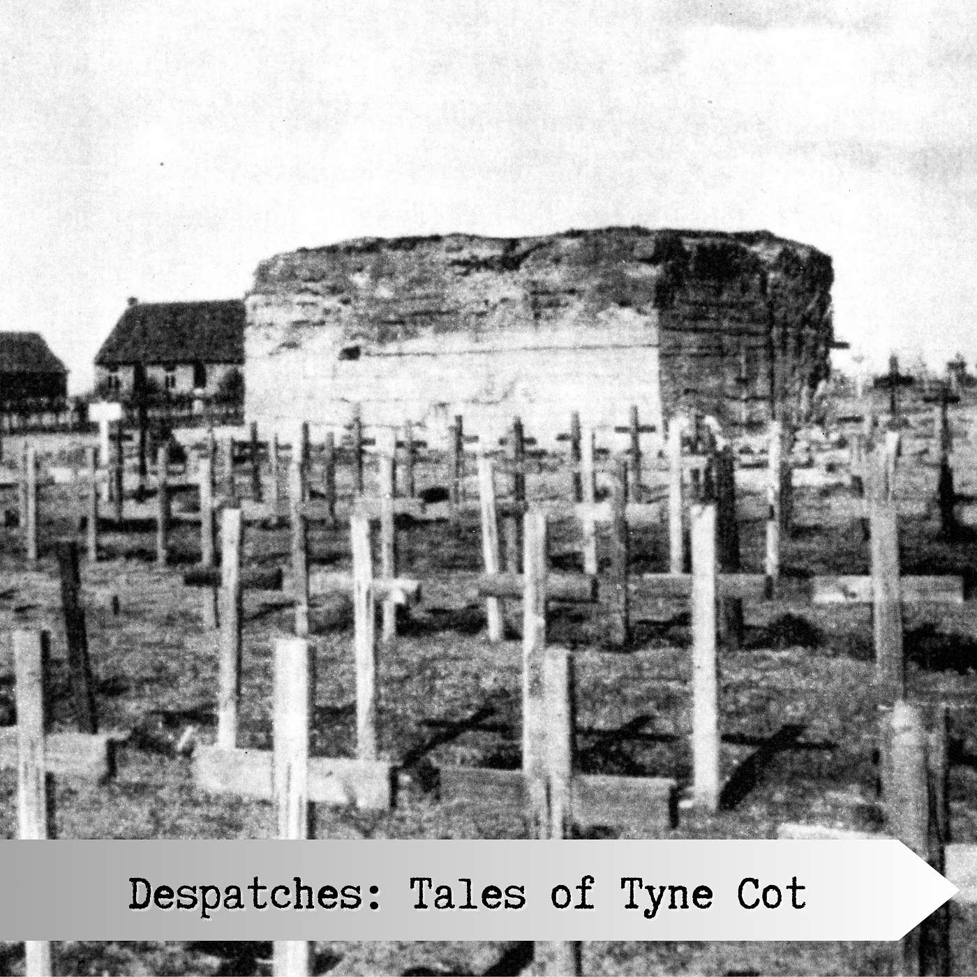 Despatches: Tales of Tyne Cot