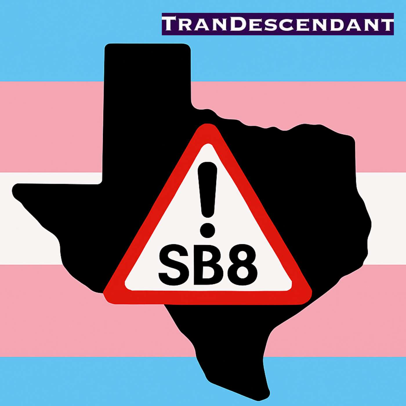 The Texas Law That Protects Nobody: Here's What You Need to Know