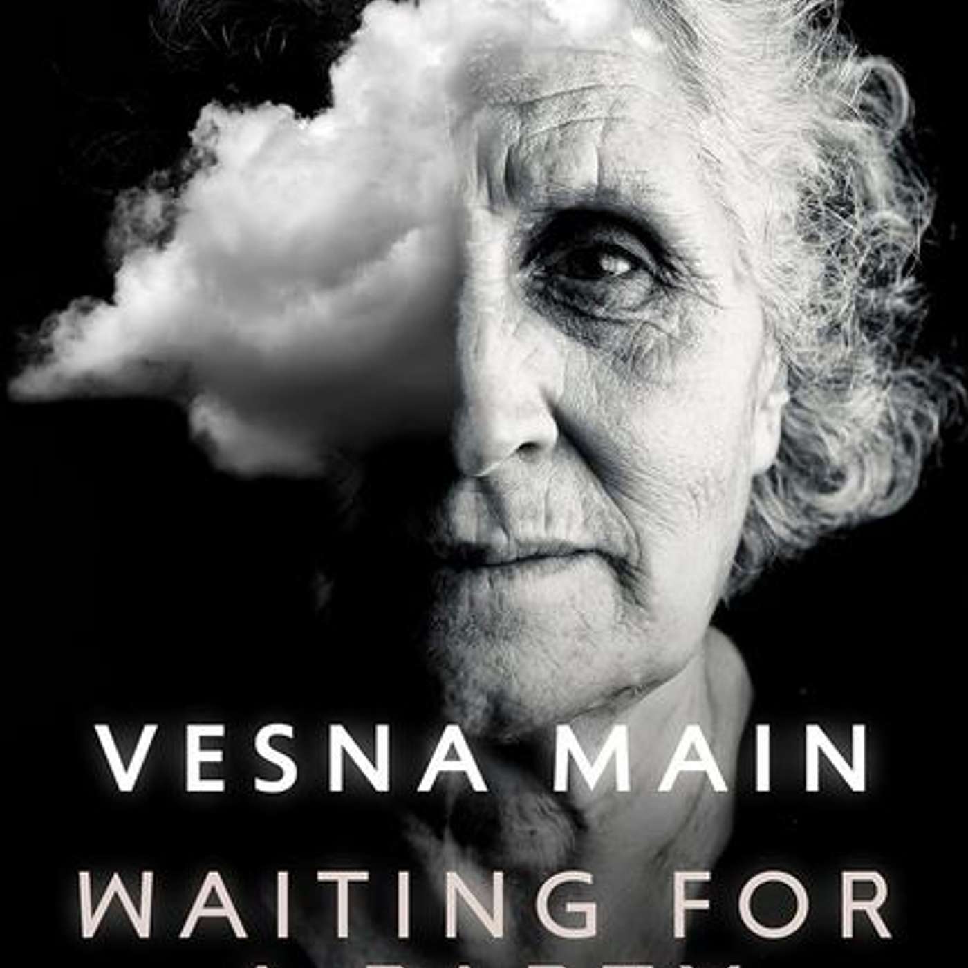 Waiting for a Party, Vesna Main