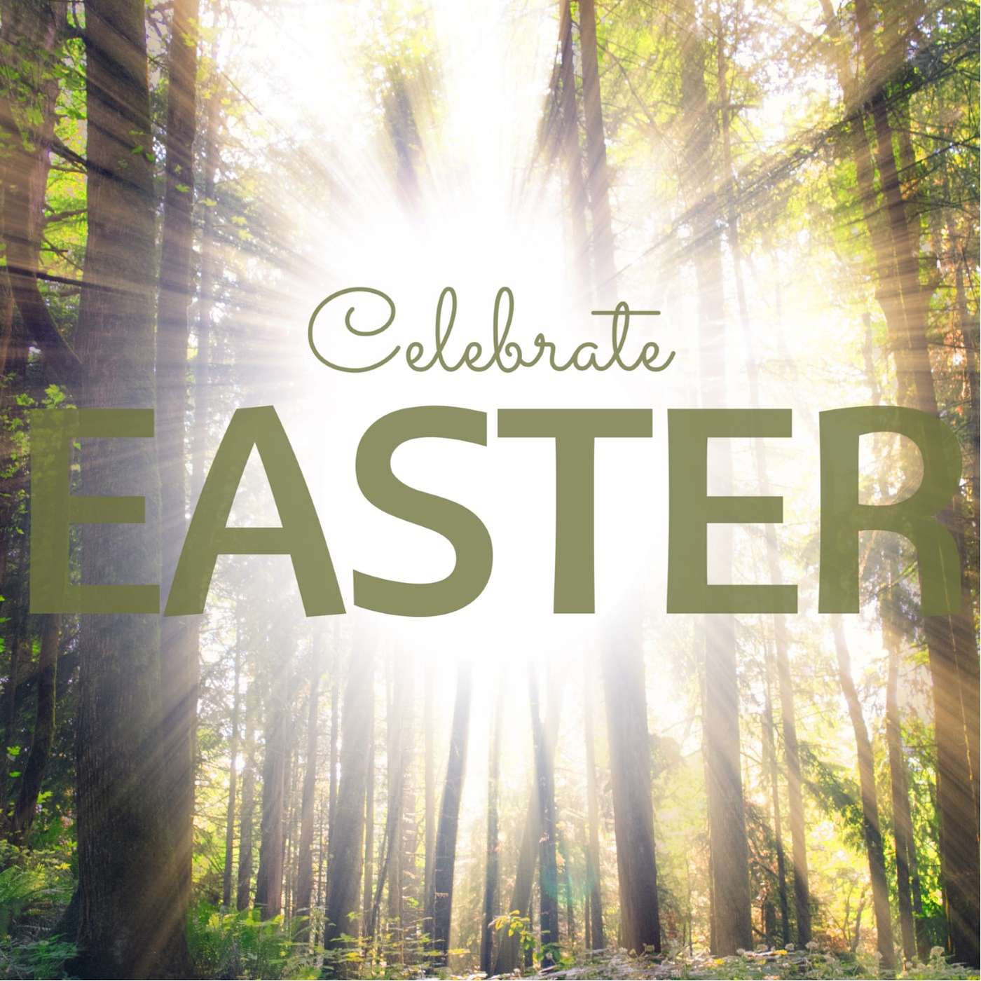 Celebrate Easter episode artwork