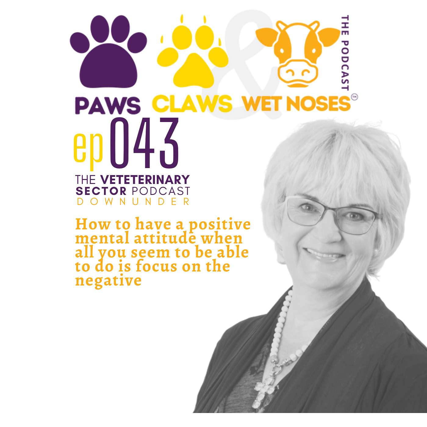 044 - Positive Mental Attitude Through Covid Lockdown for VetMed Professionals