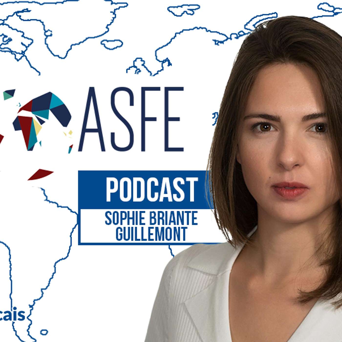 Sophie Briante-Guillemont : ses choix politiques et son héritage à l'ASFE