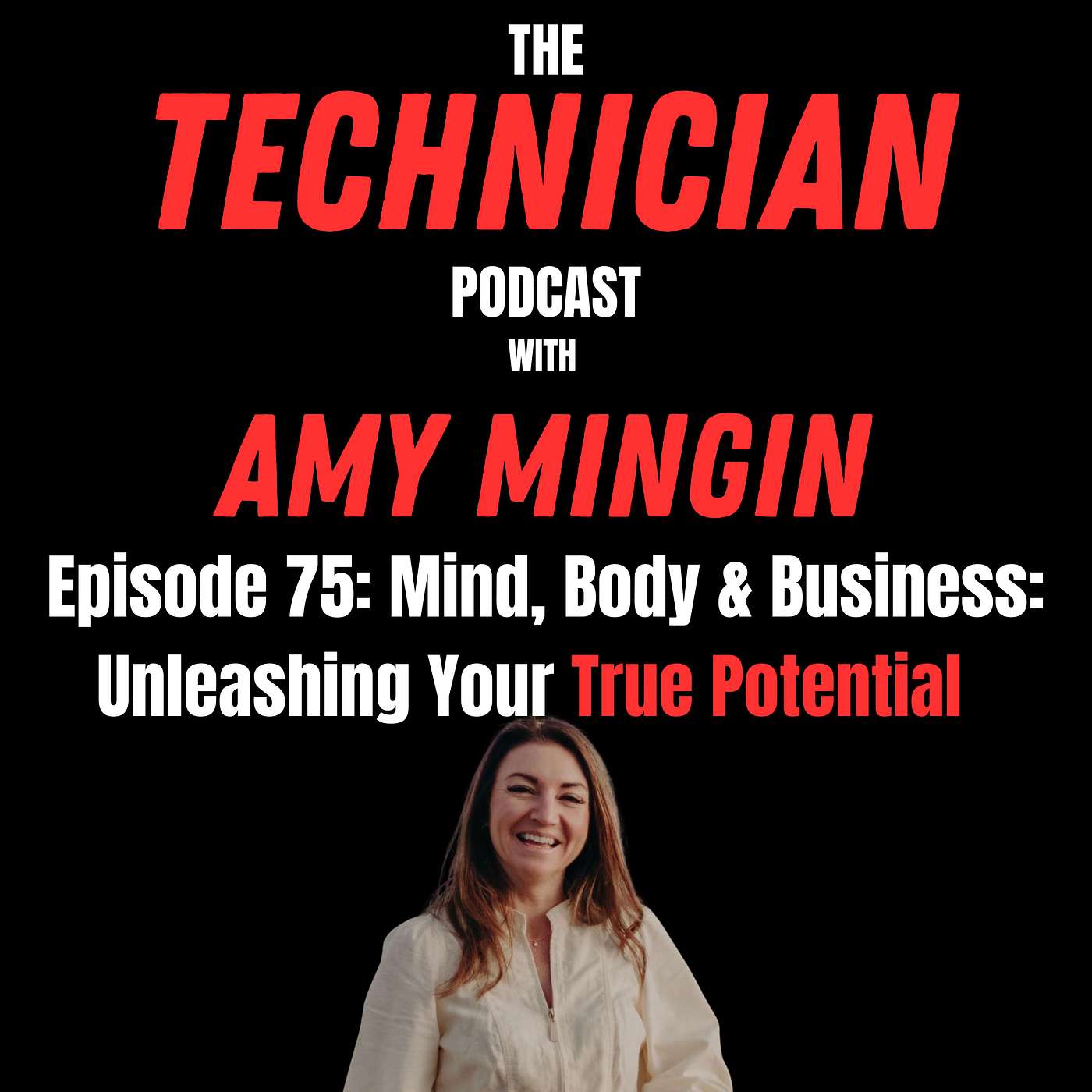 The Mindset Technician