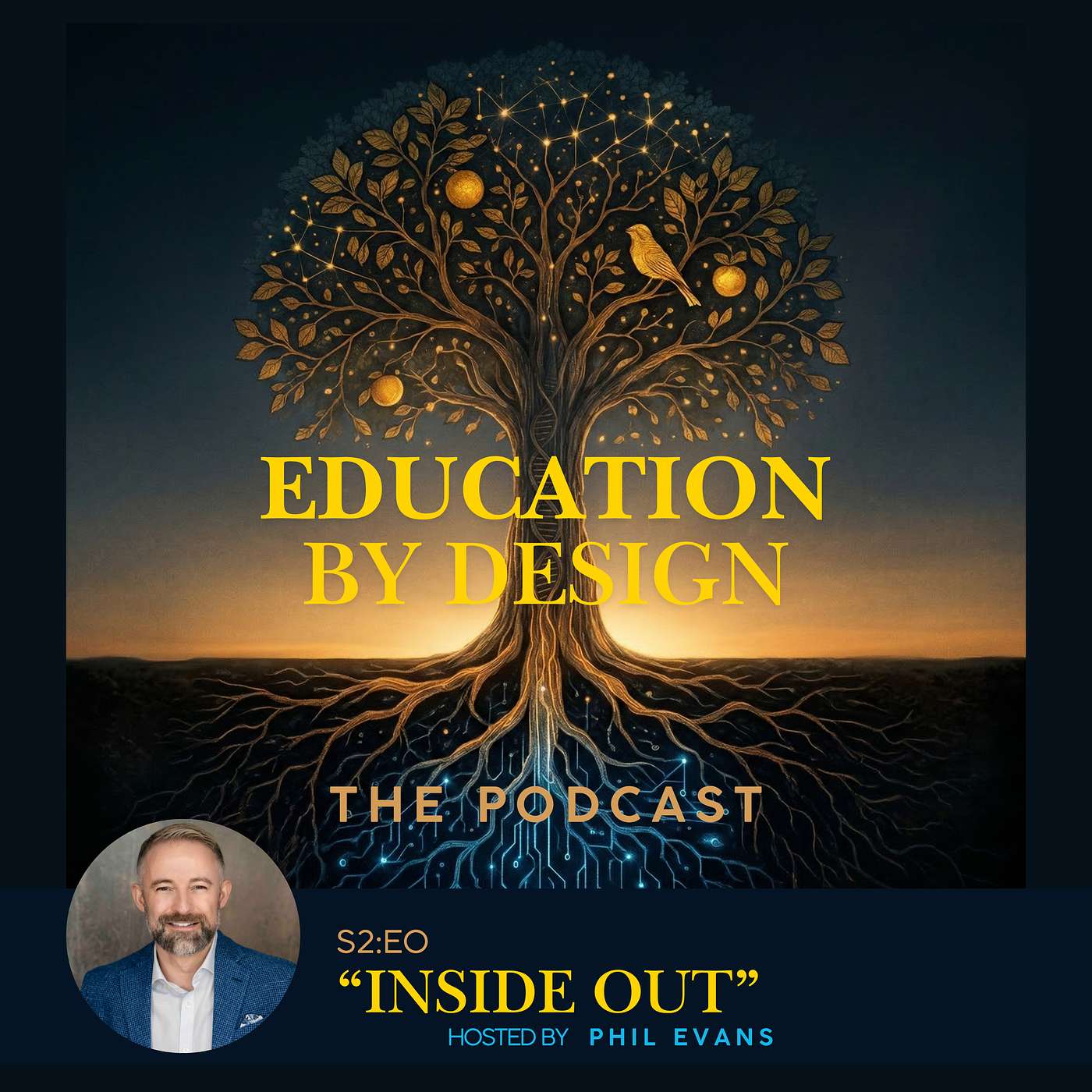S2:E0 "Inside Out" with Phil Evans episode artwork