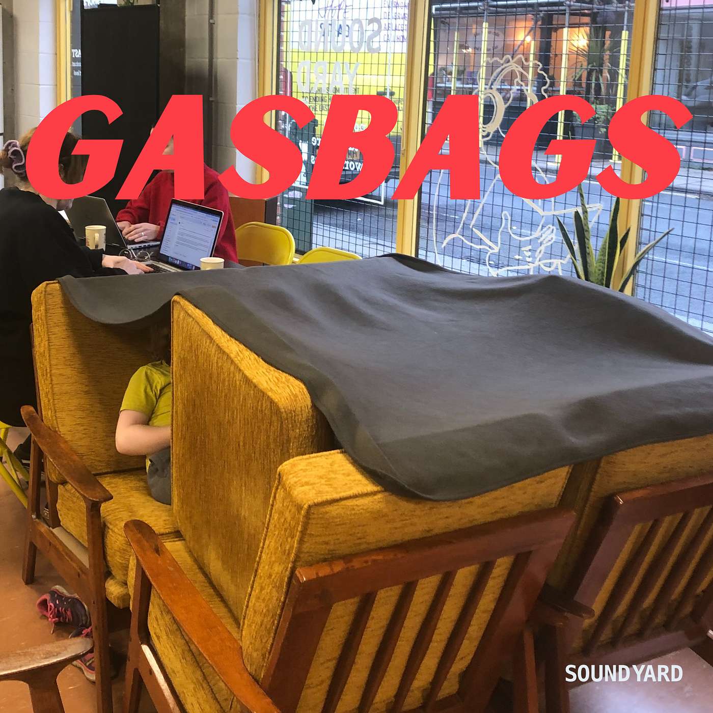 Mating Donkeys Mating Donkeys