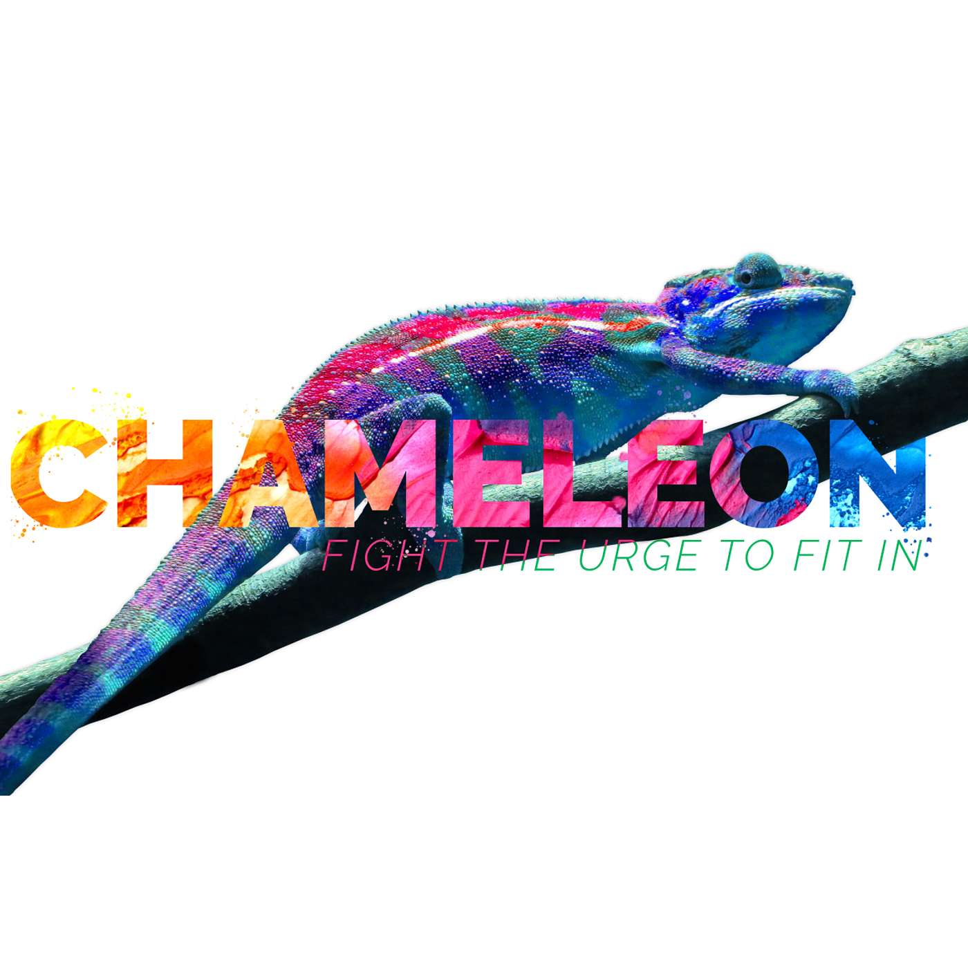 Chameleon : From Confusion to Confession