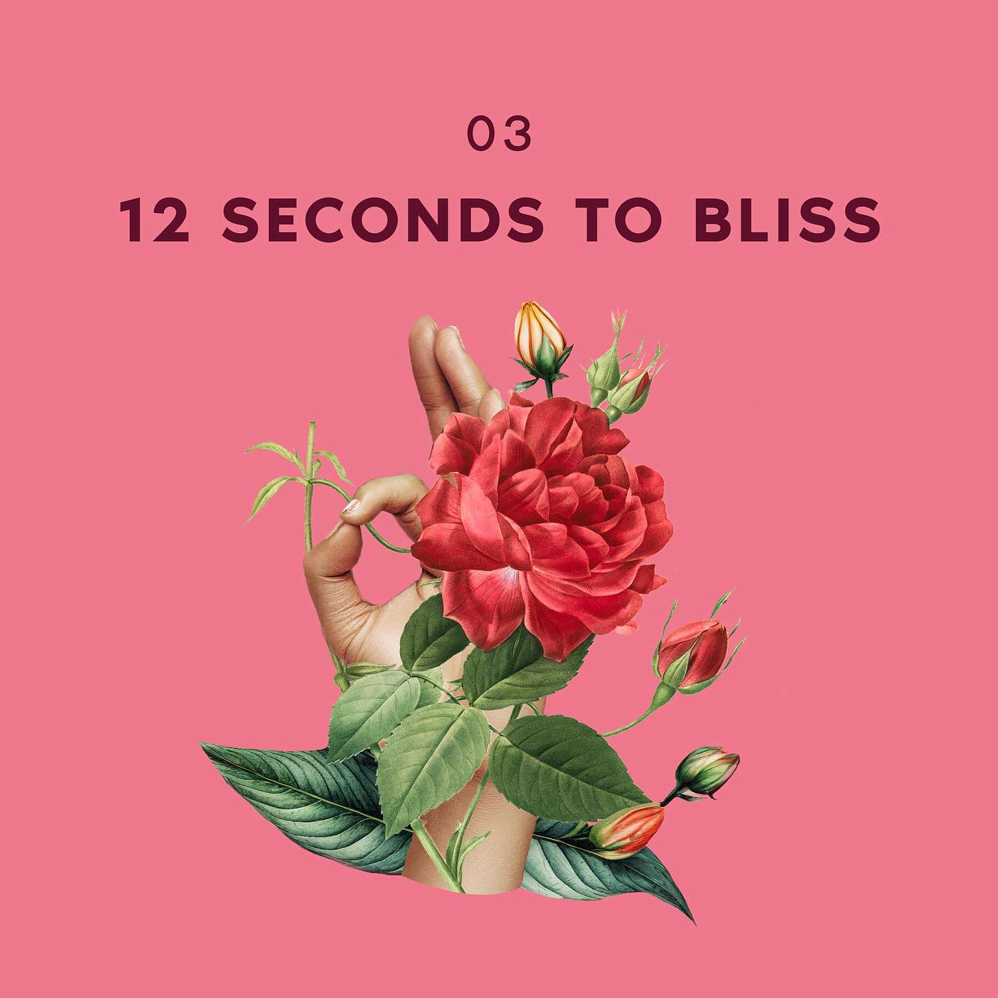 Season 2, Episode 3 - 12 Seconds to Bliss Season 2, Episode 3 - 12 Seconds to Bliss