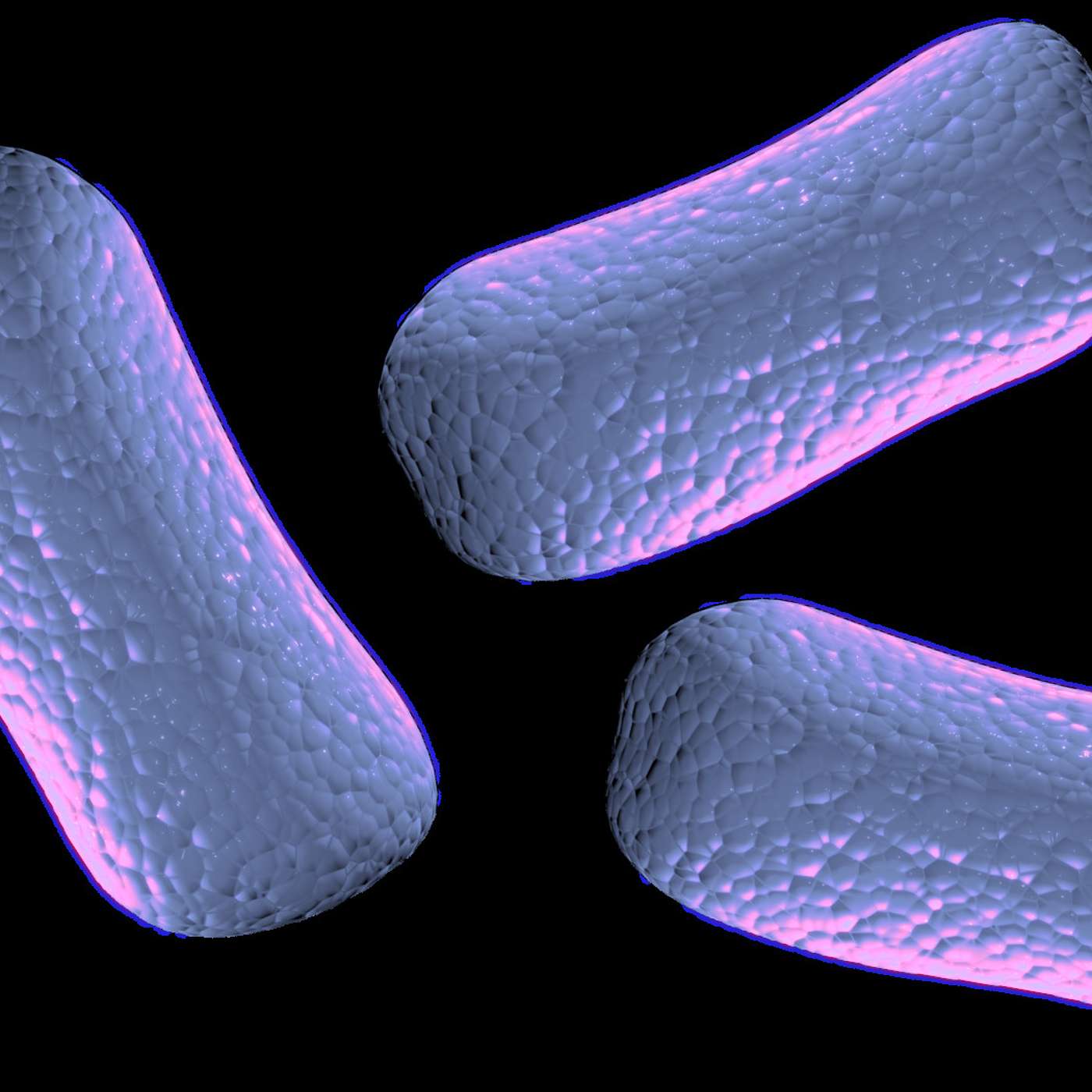 Antimicrobial resistance. A tale of two worlds, or a global threat?