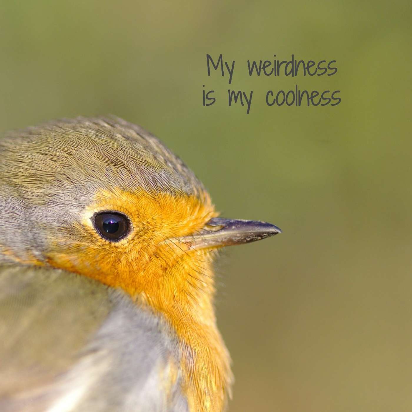 #108 My weirdness is my coolness episode artwork