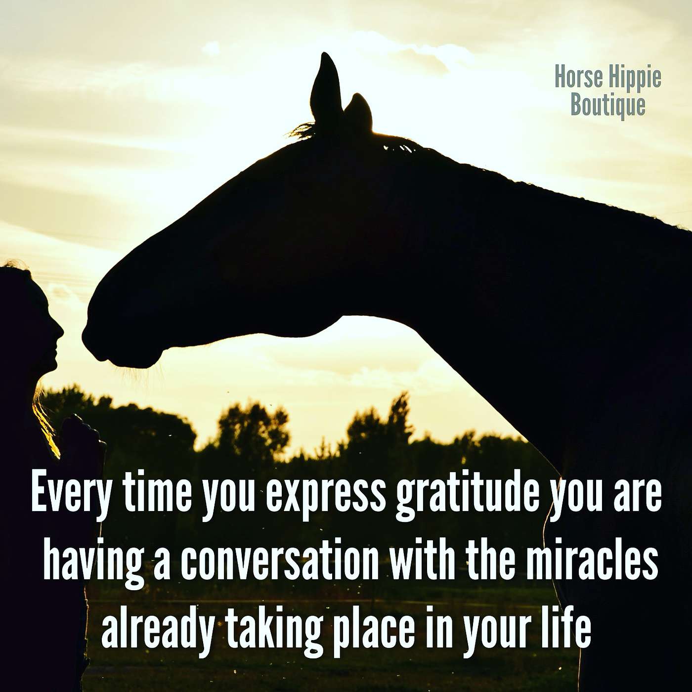 Having a Gratitude Practice