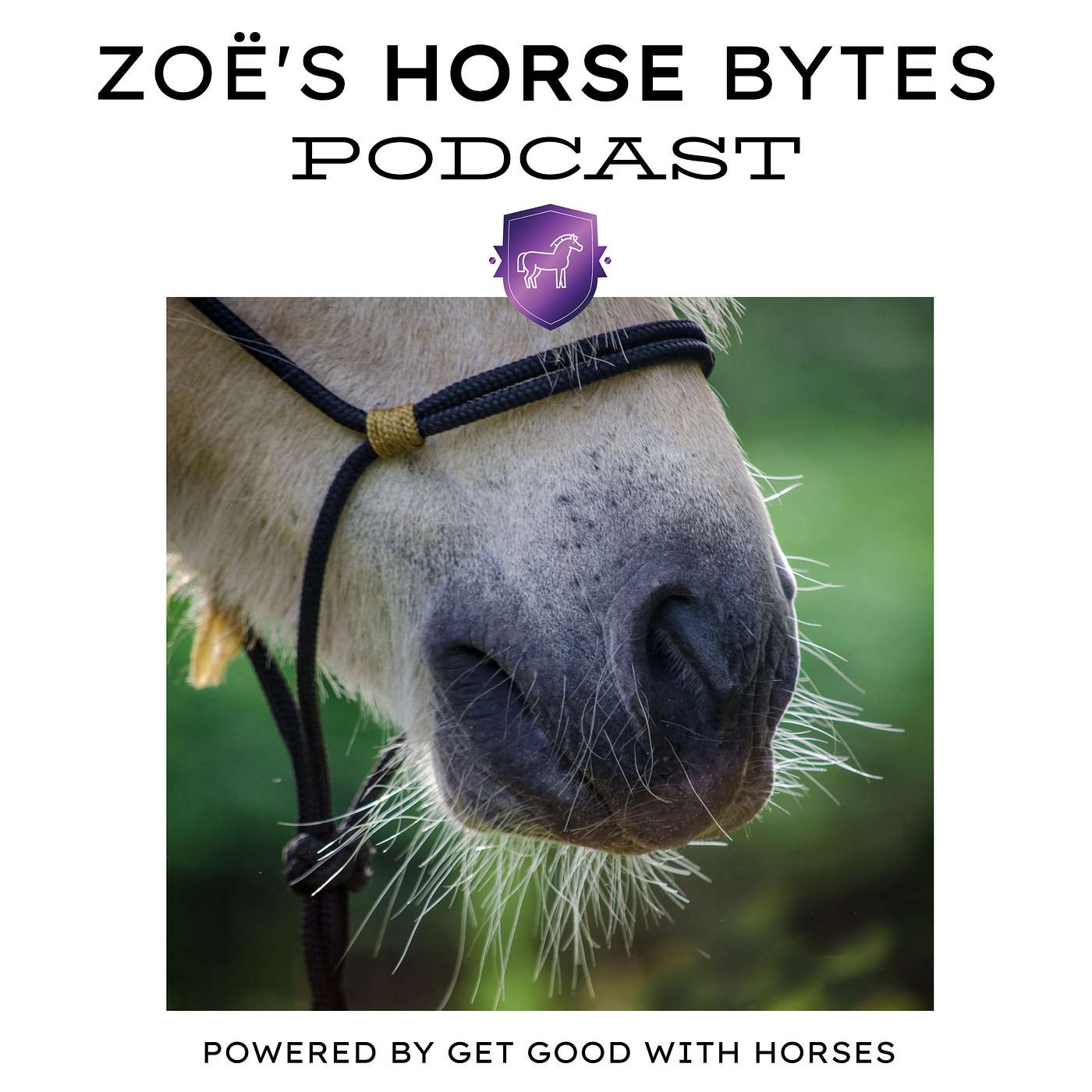 19. Introverted horse OR horse in pain? episode artwork