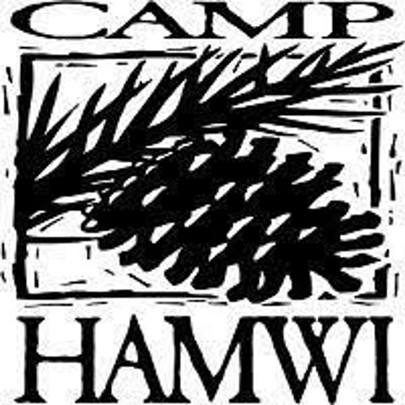 #90 Diabetes Camp @Camp Hamwi