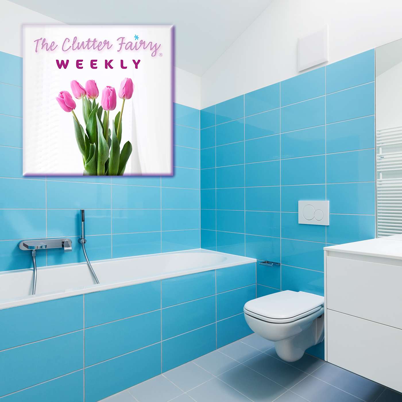 The Clutter Fairy Weekly #21 - Organizing room by room: the bathroom