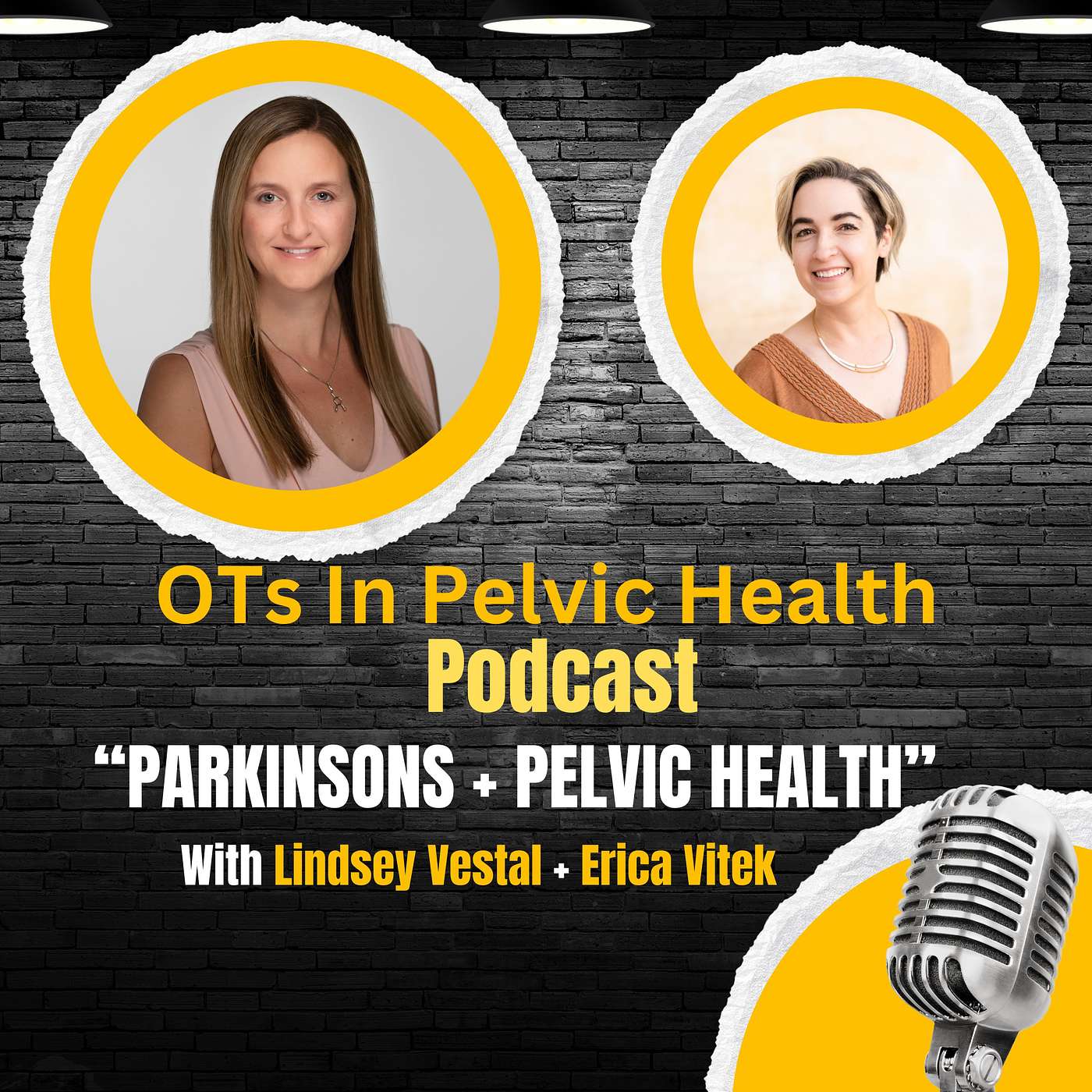 OTs In Pelvic Health
