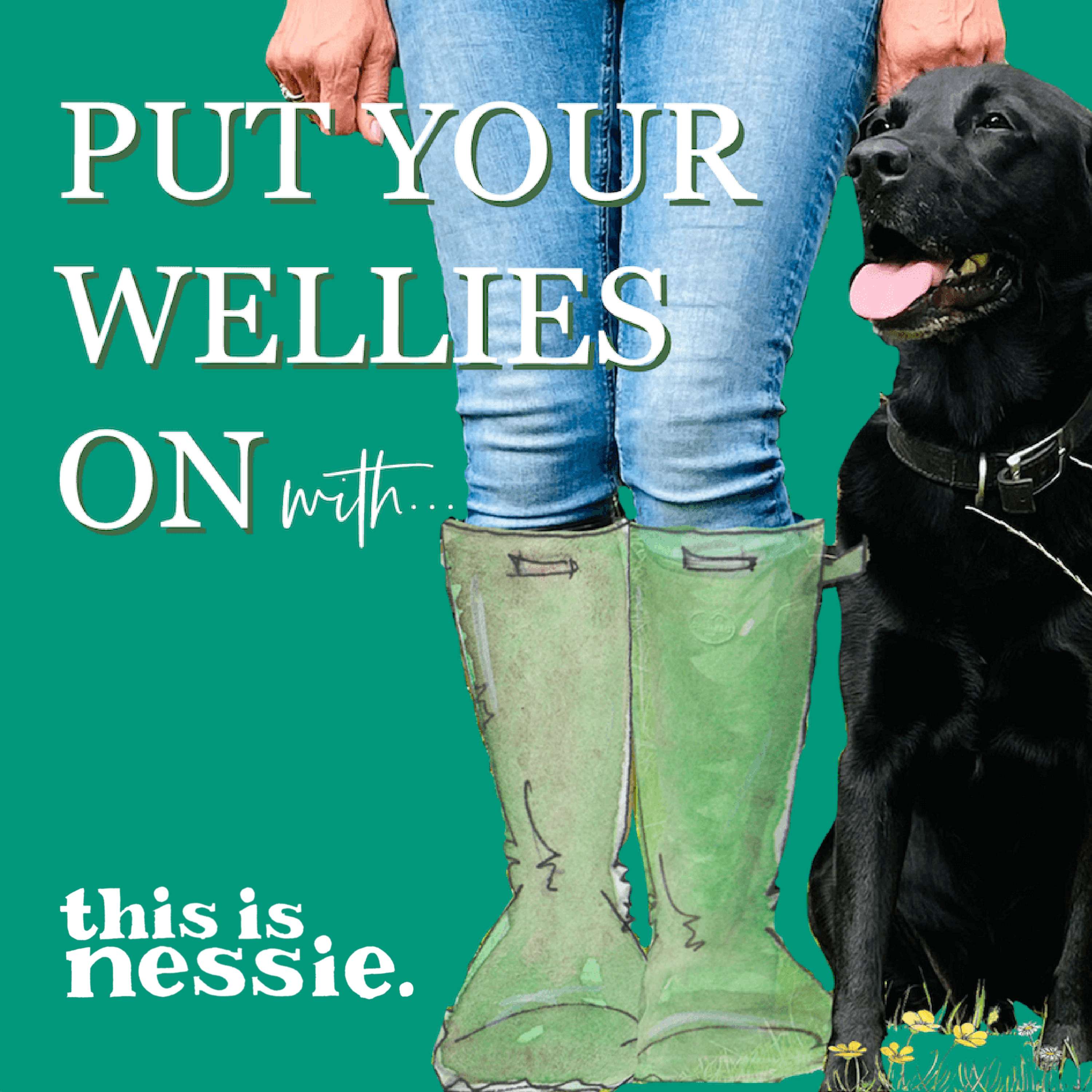 Put Your Wellies On
