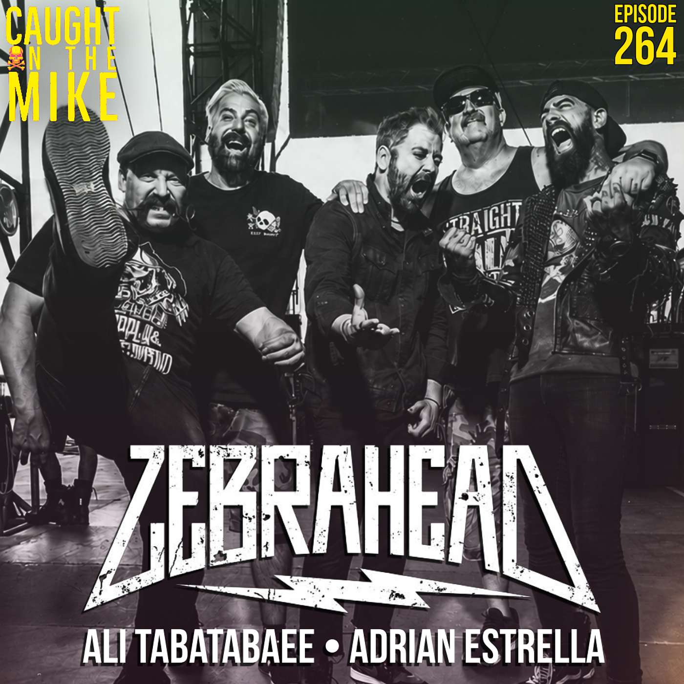 Ali and Adrian of Zebrahead episode artwork